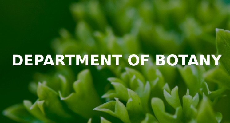 Devcom Botany Images